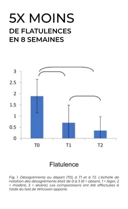FS-3B Étude Clinique Flatulences