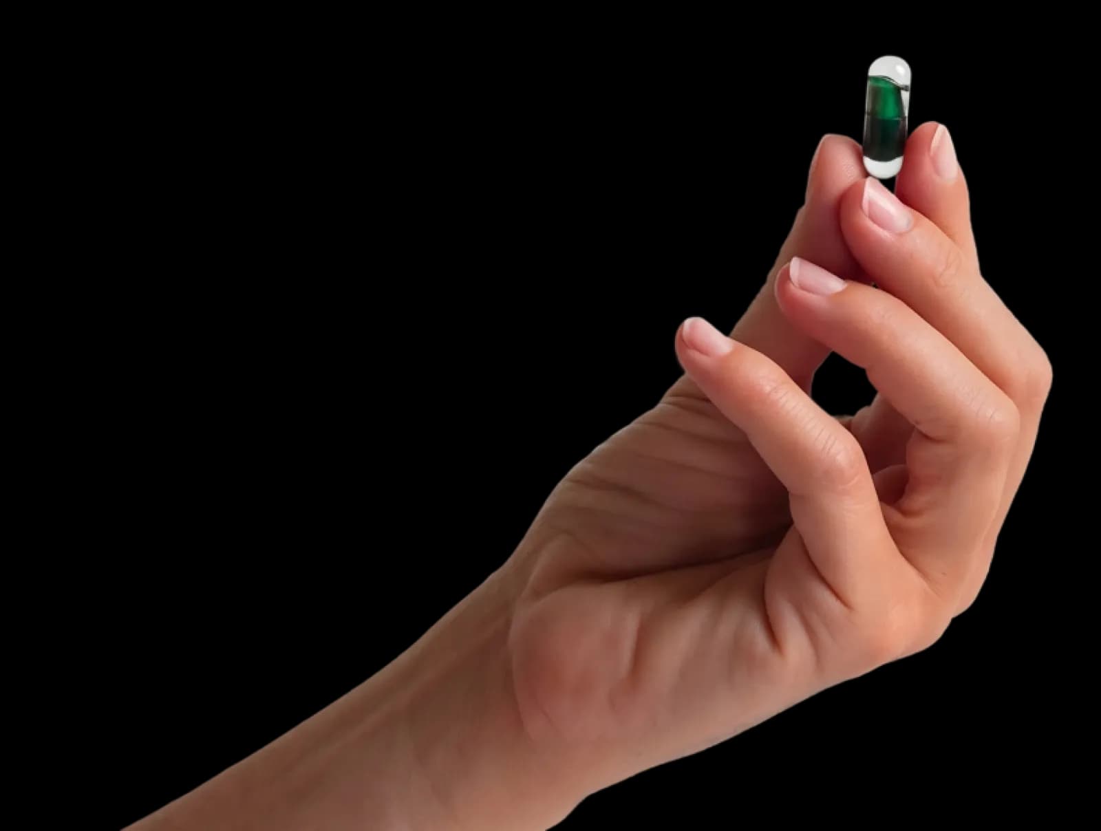 hand_holding_fs-3b_3