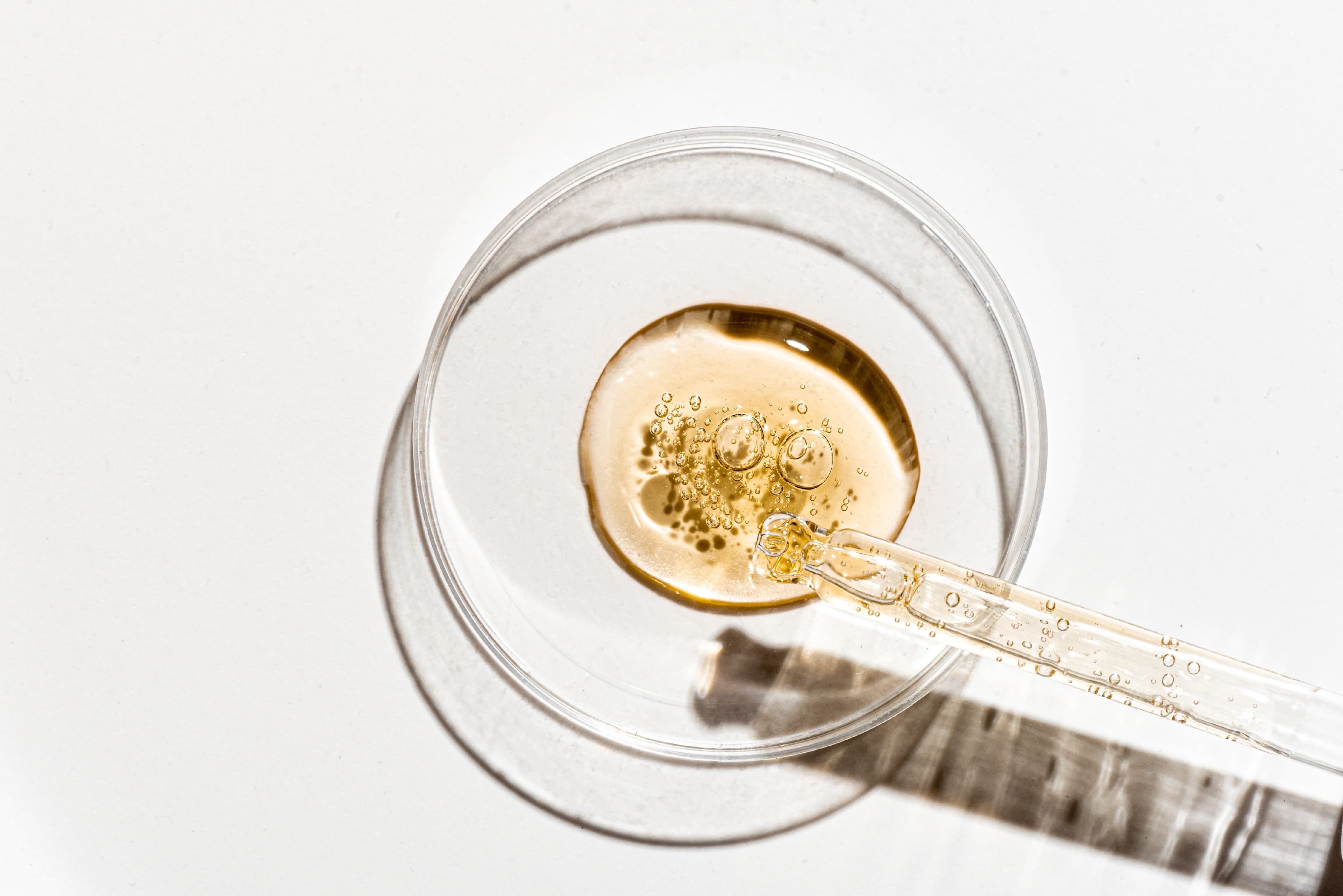 Huile de tournesol : quelles utilisations culinaires et quels bienfaits ?