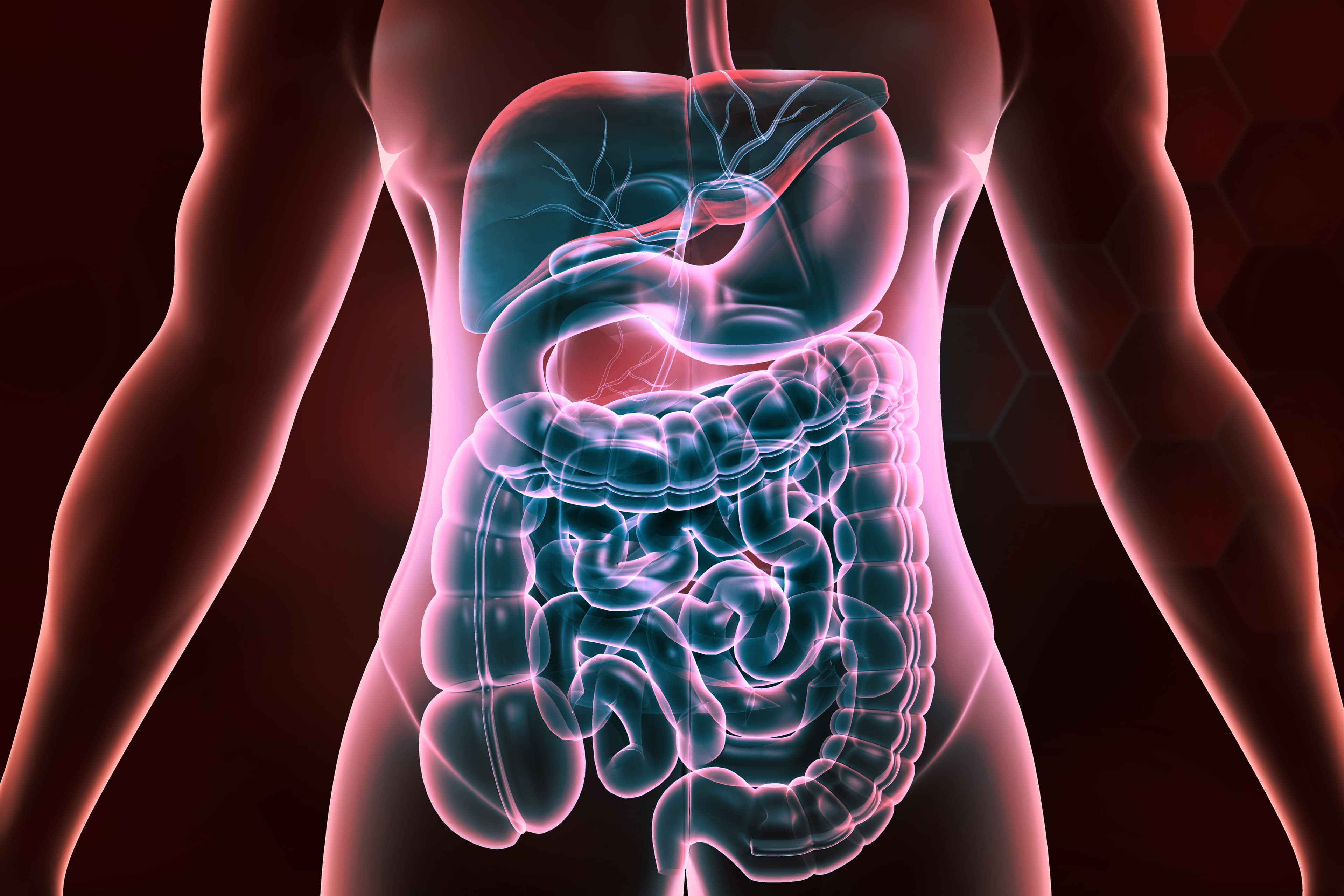 Constipation : causes et solutions