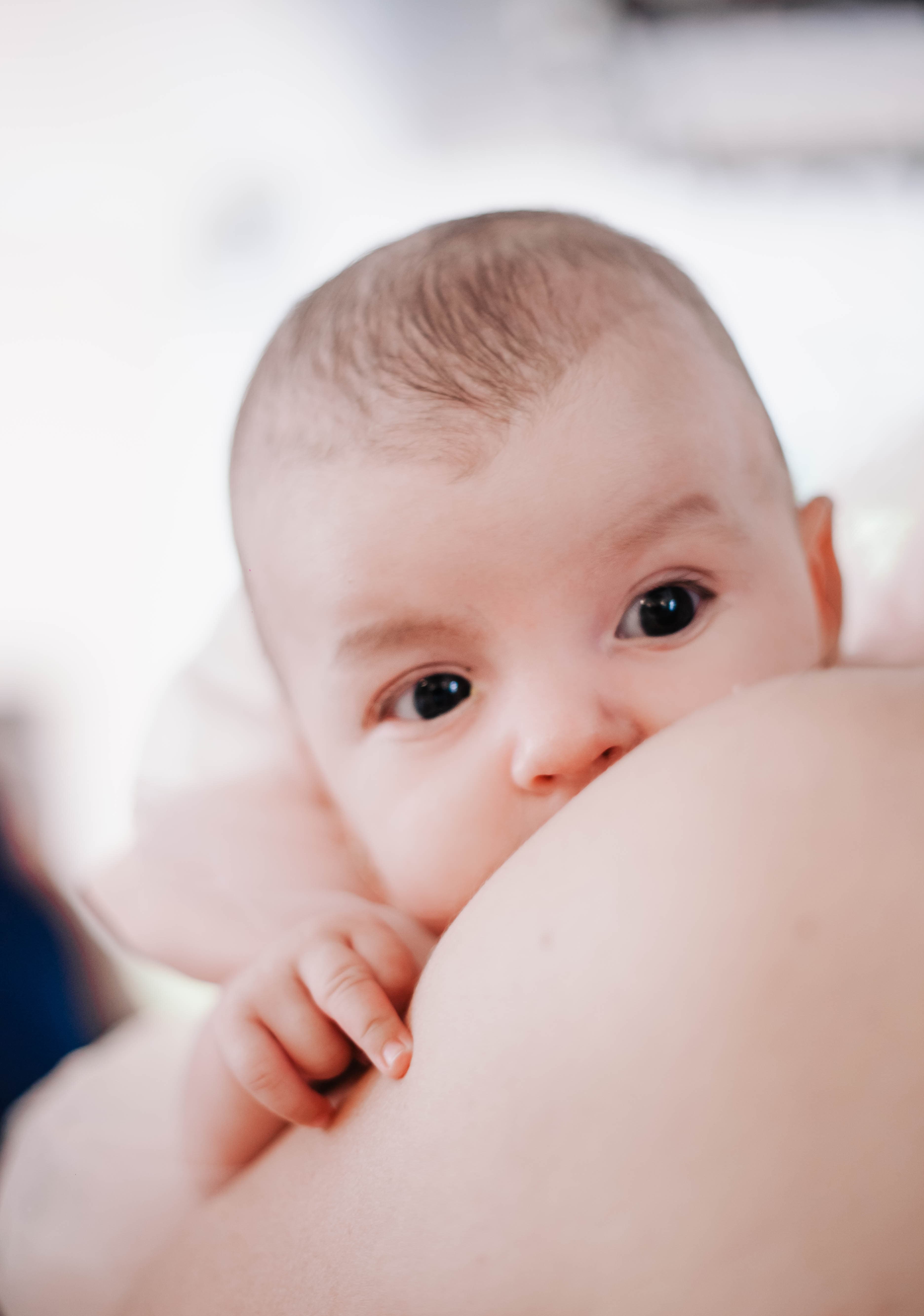 Comment se forme le microbiote intestinal dès la naissance ?