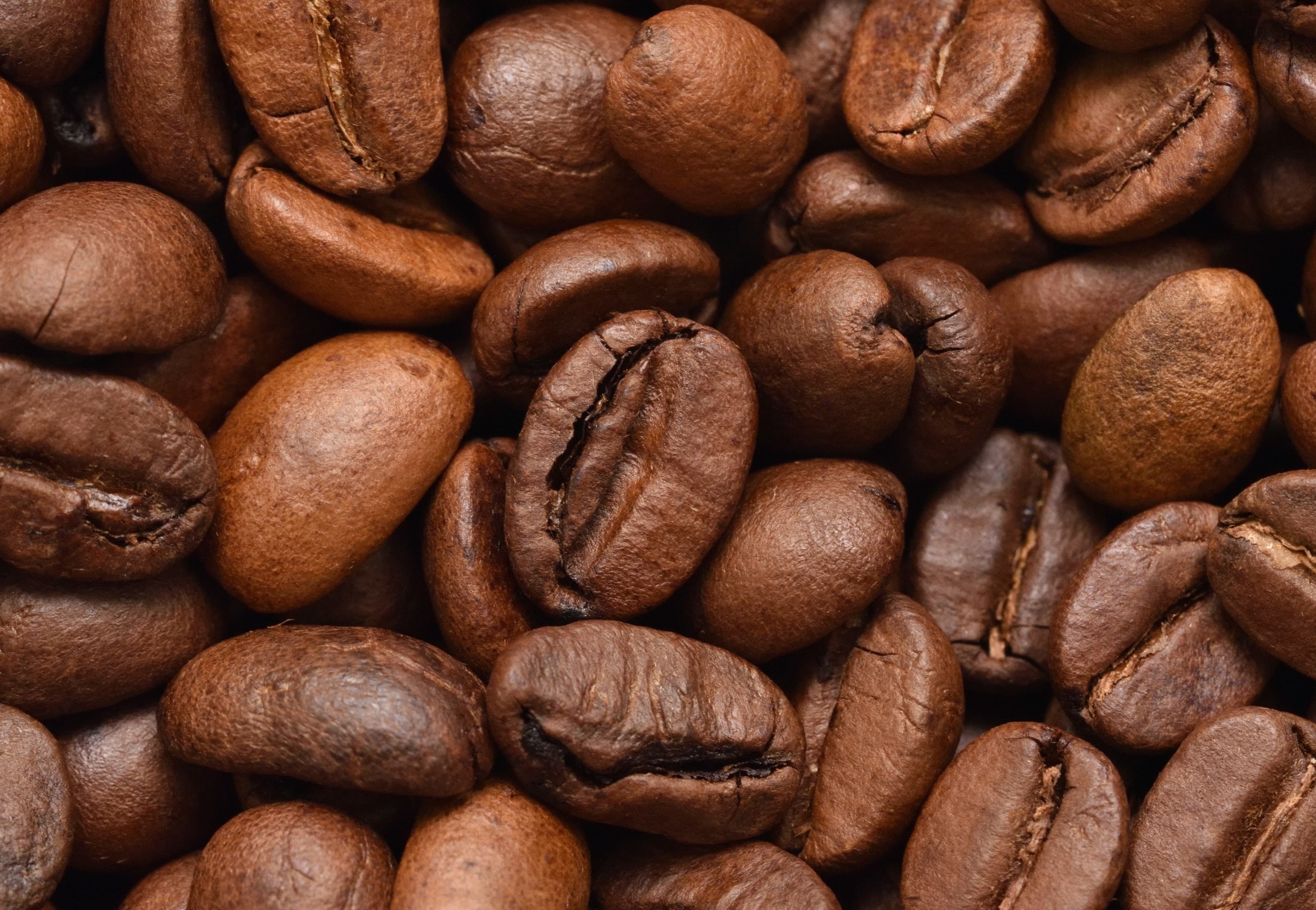 Caféine : quels sont ses effets sur l'énergie et la vigilance ?