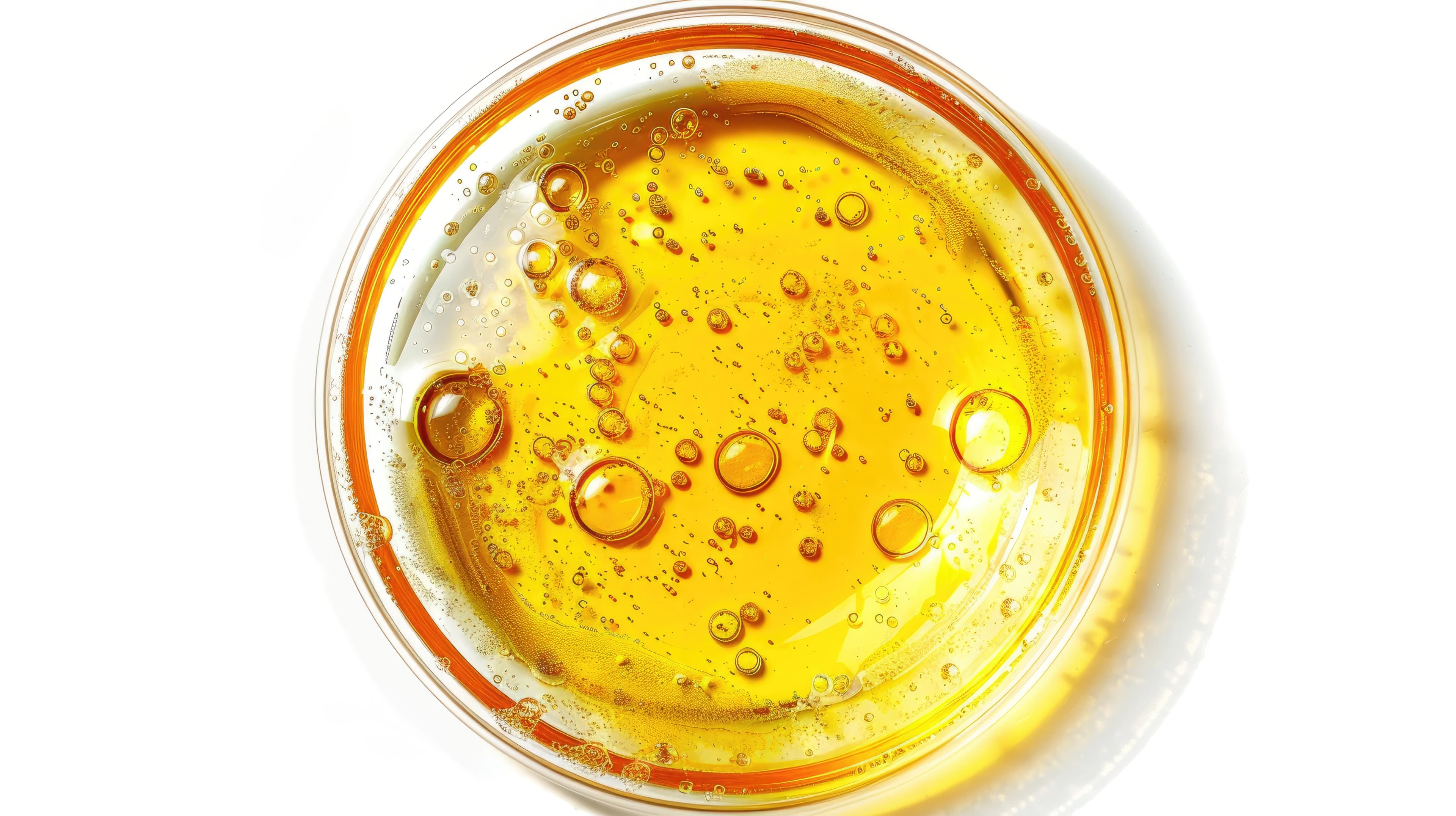 Huile de colza : quels sont ses bienfaits et comment l’utiliser en cuisine ?