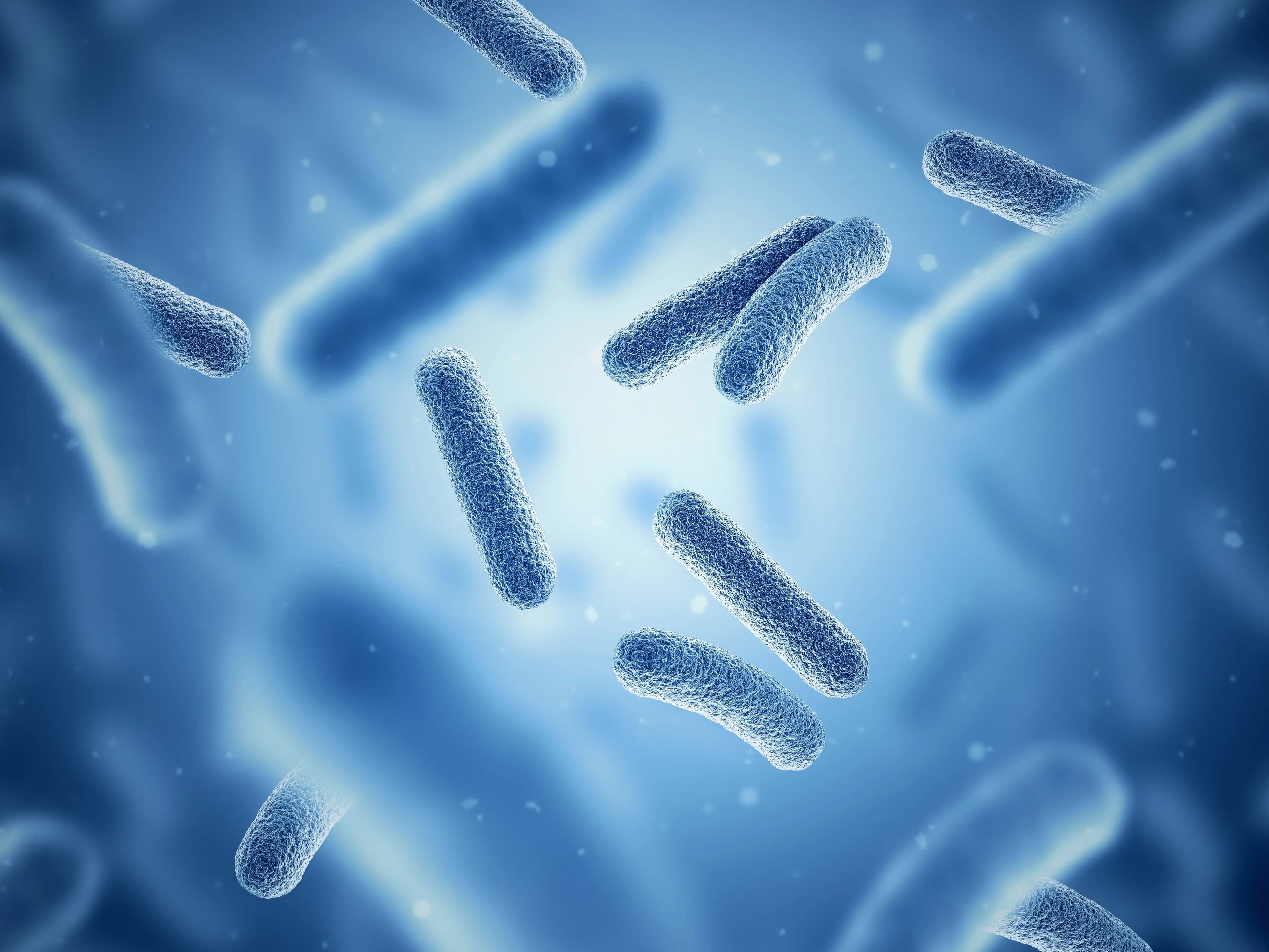 Comment intégrer probiotiques et prébiotiques dans sa routine au quotidien ?
