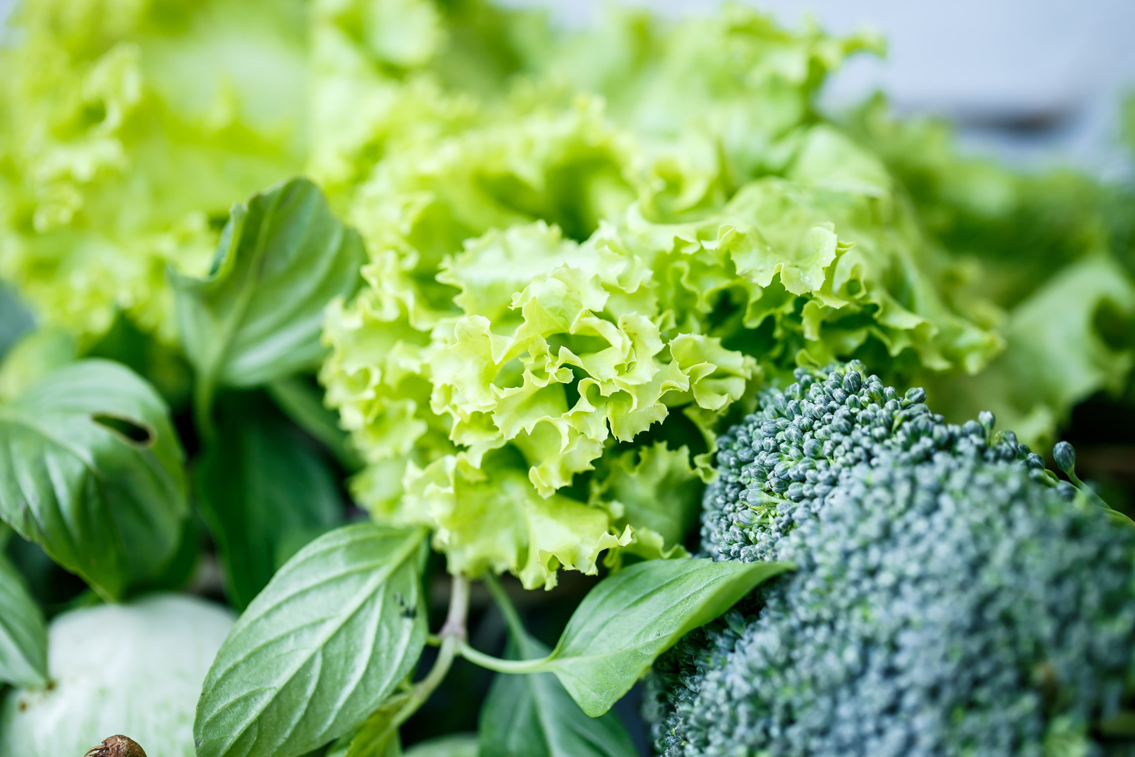 Acide folique : quels sont le rôle et  les bienfaits de cette vitamine essentielle ?