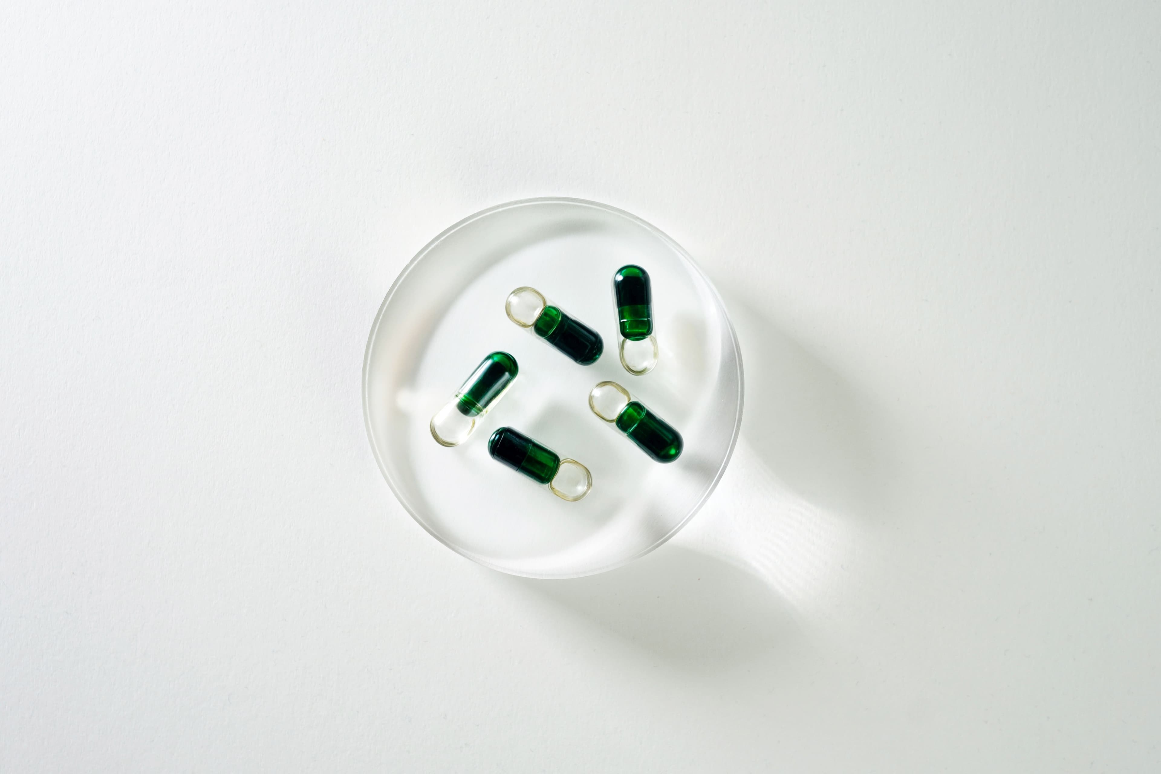Qu'est-ce qu'un tribiotique ?