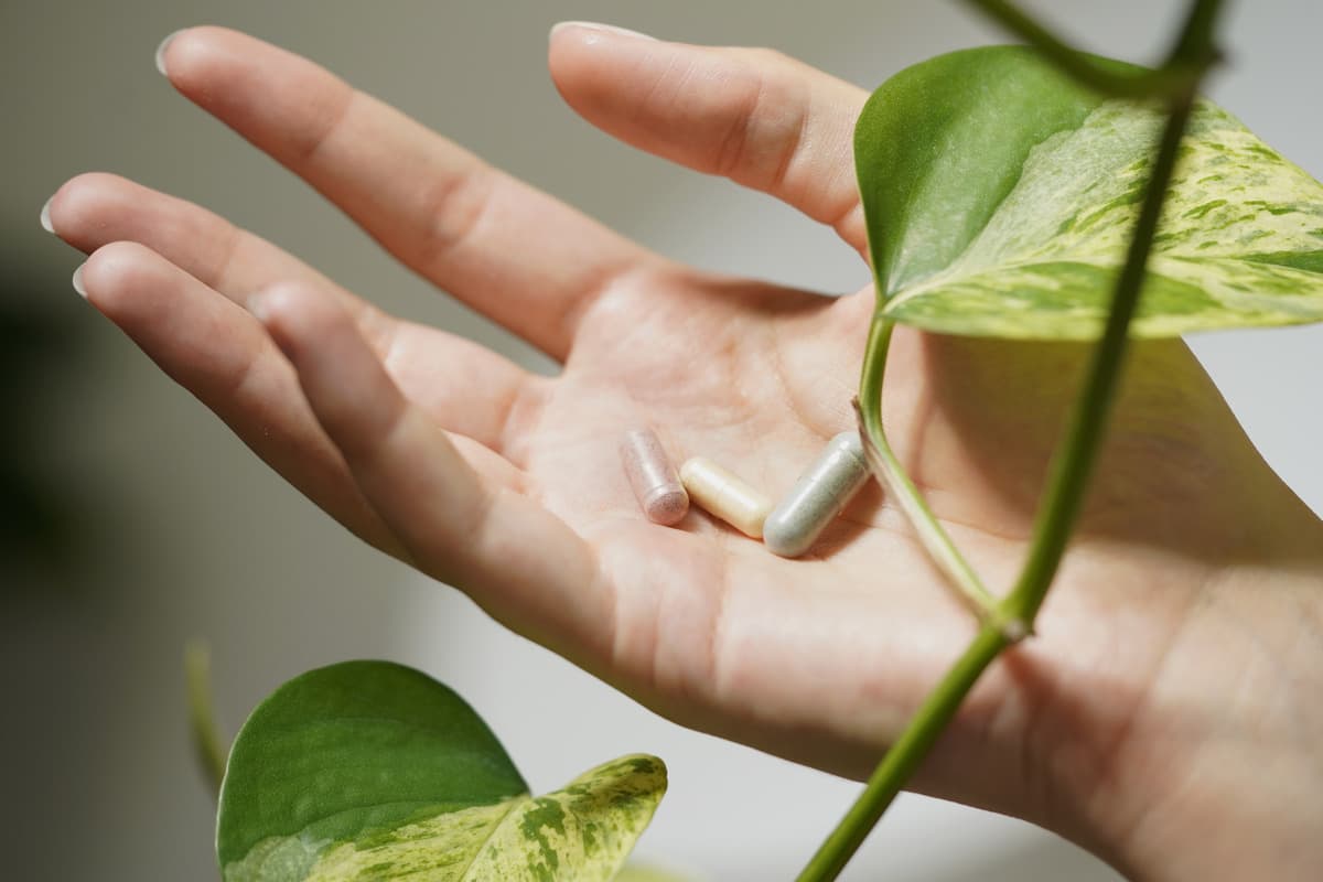 5 raisons de prendre des compléments alimentaires et comment rester assidu ?