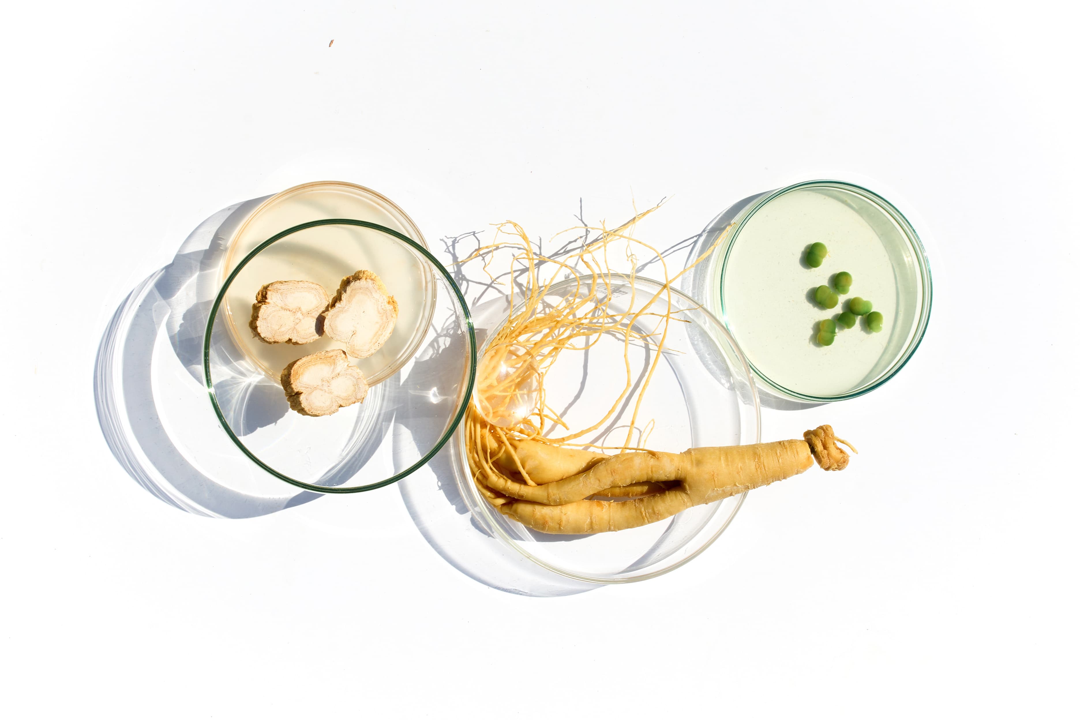 Ginseng : votre allié pour traverser l’hiver avec vitalité et équilibre