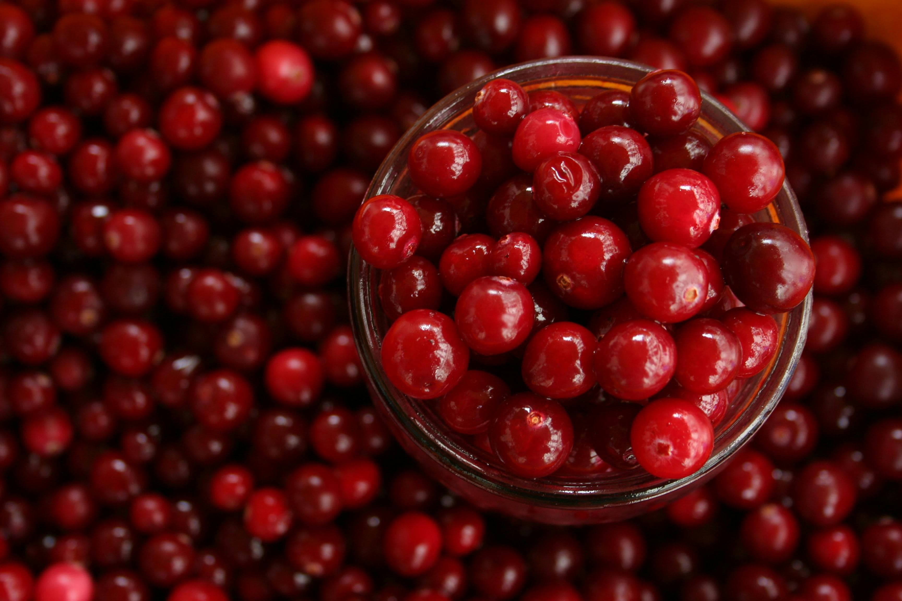 Pourquoi la cranberry est un ingrédient de choix pour votre bien-être au quotidien ?