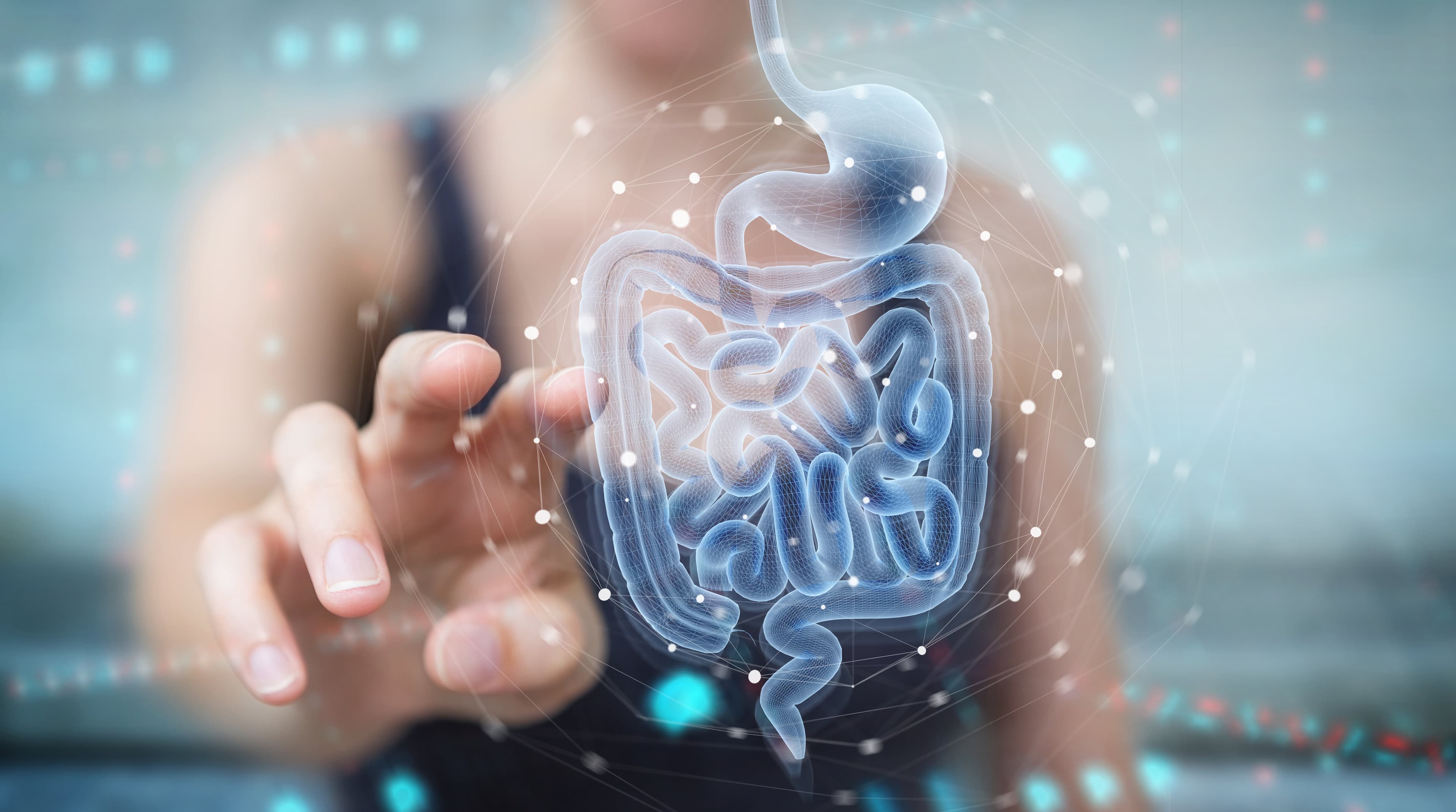 Digestion : nos solutions expertes pour retrouver l’équilibre après les excès festifs