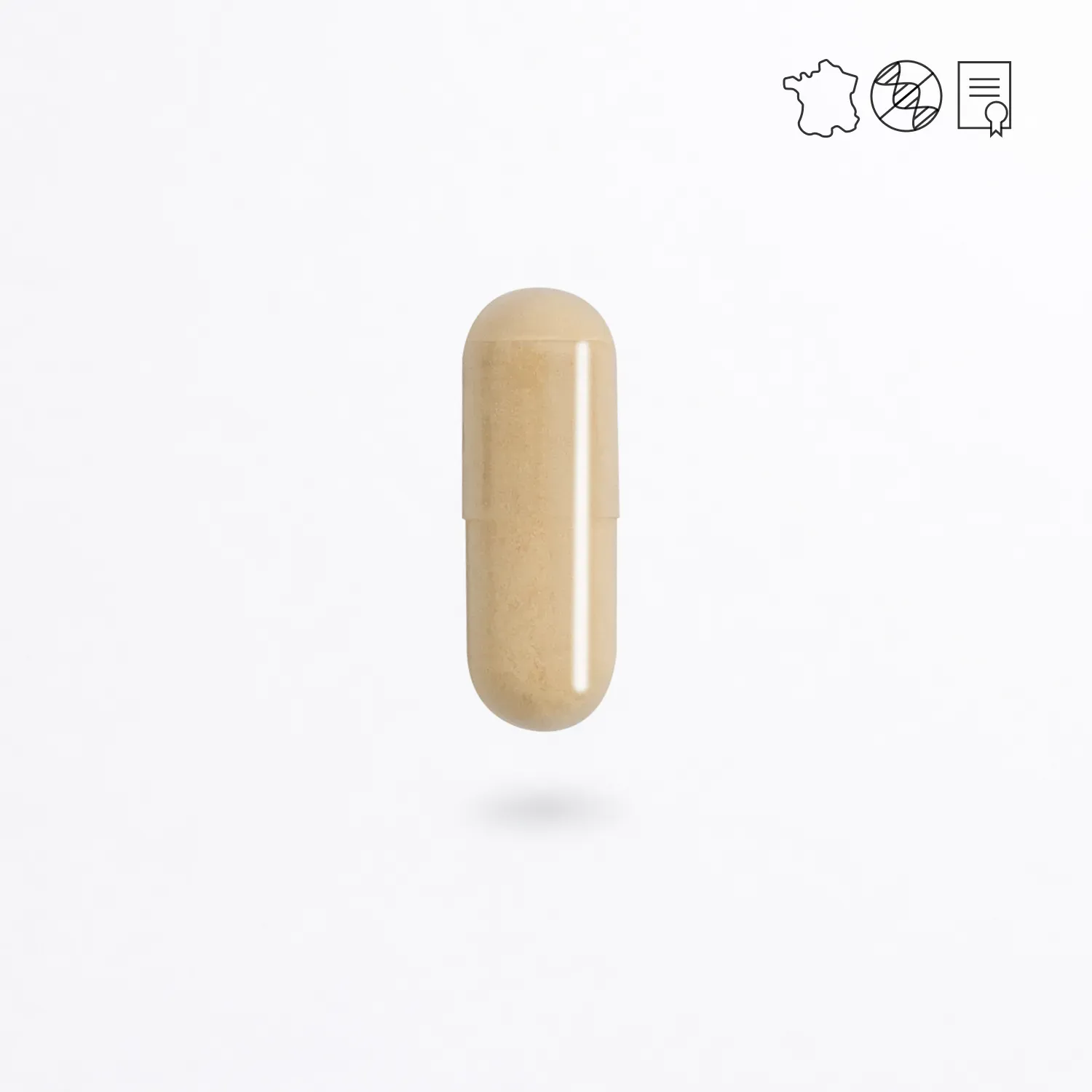 Gélule Ubiquinol CoQ10 Cuure