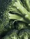 Brocoli