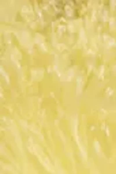 Citron fermenté