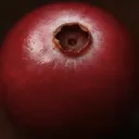 Cranberry fermenté