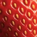 Fraise fermentée