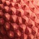 Litchi fermenté