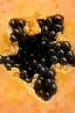 Papaye fermentée
