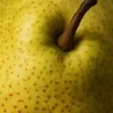 Poire fermentée