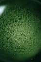 Spiruline