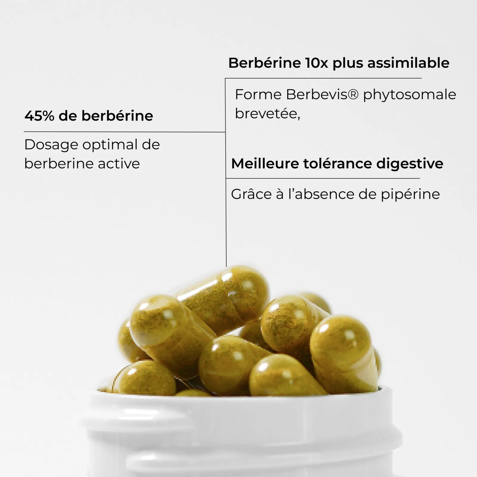 Berbérine #2