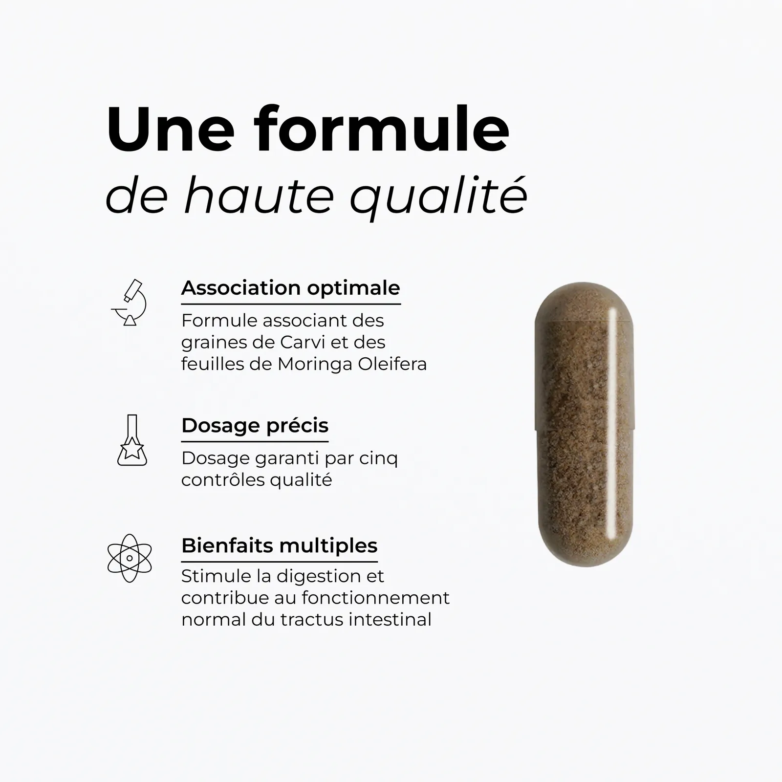 Bienfaits du Carvi Cuure