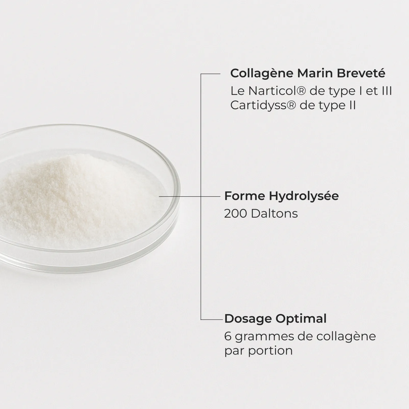 Collagene Marin 4