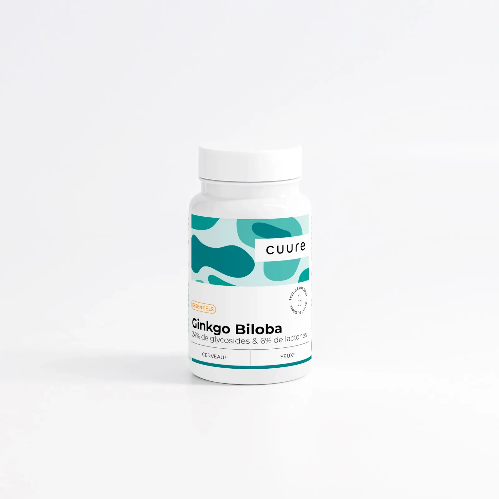 Ginkgo Biloba #1