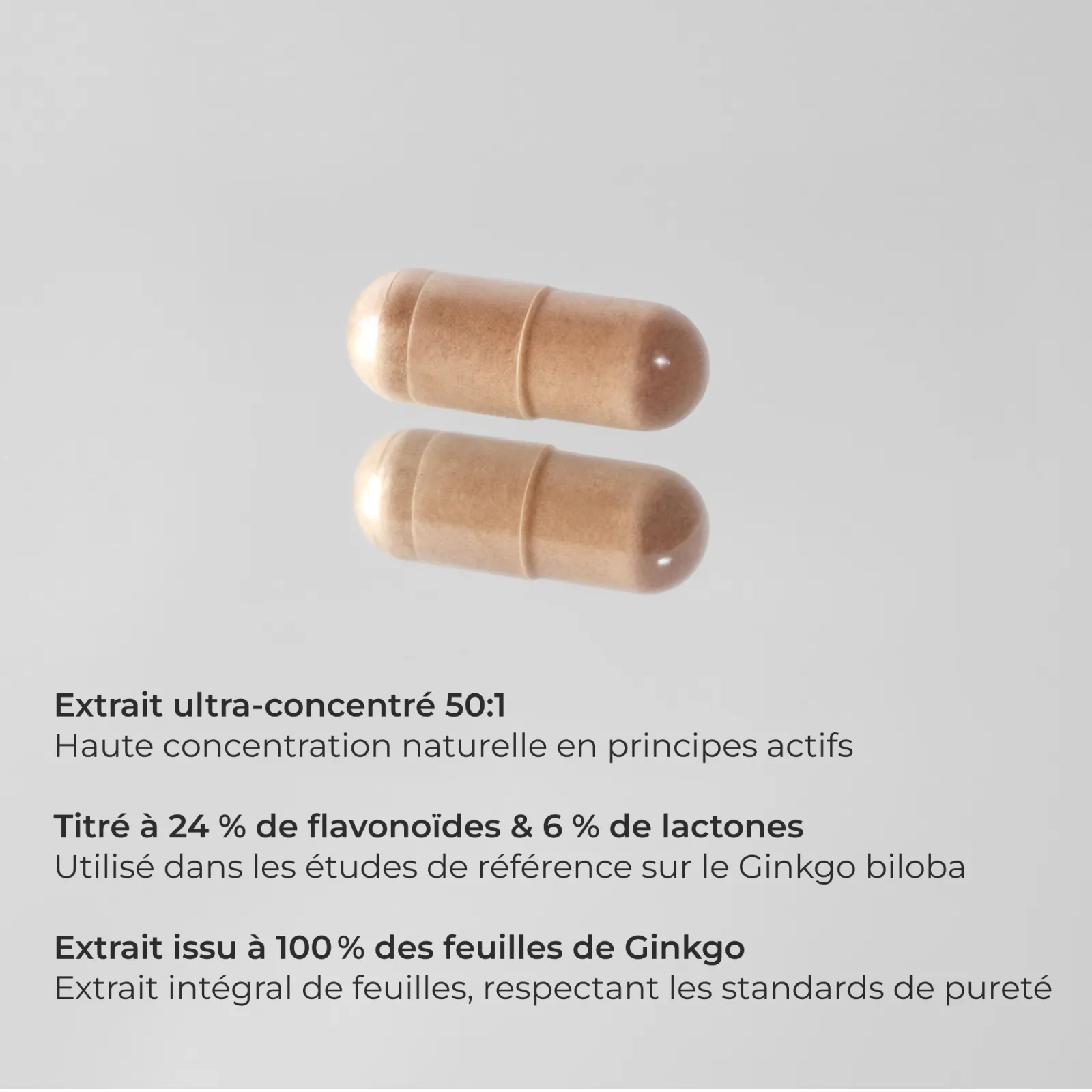 Ginkgo Biloba #3