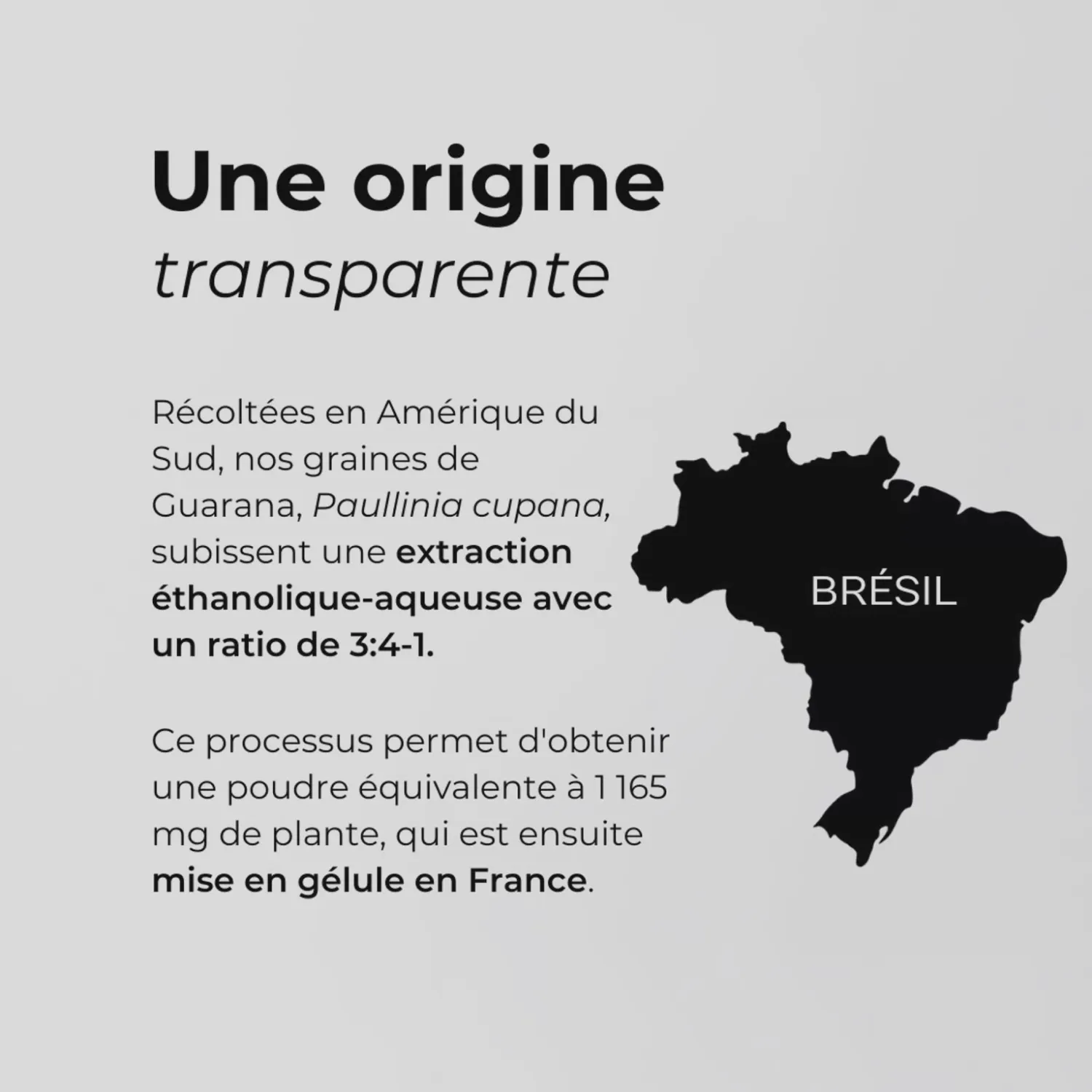 Origine du Guarana