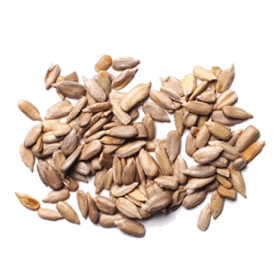 Vitamine B6