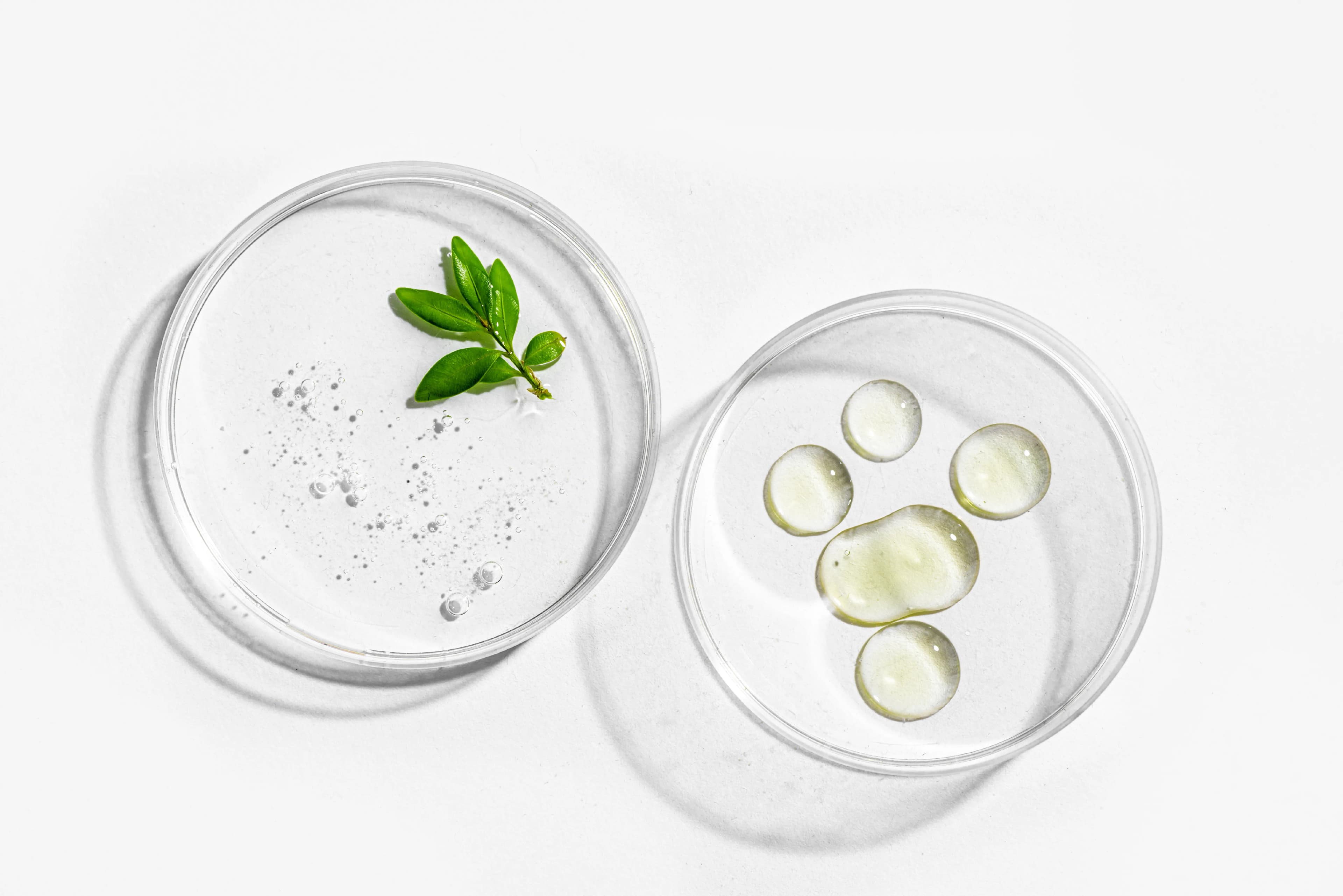 Inositol Cuure — formule en poudre