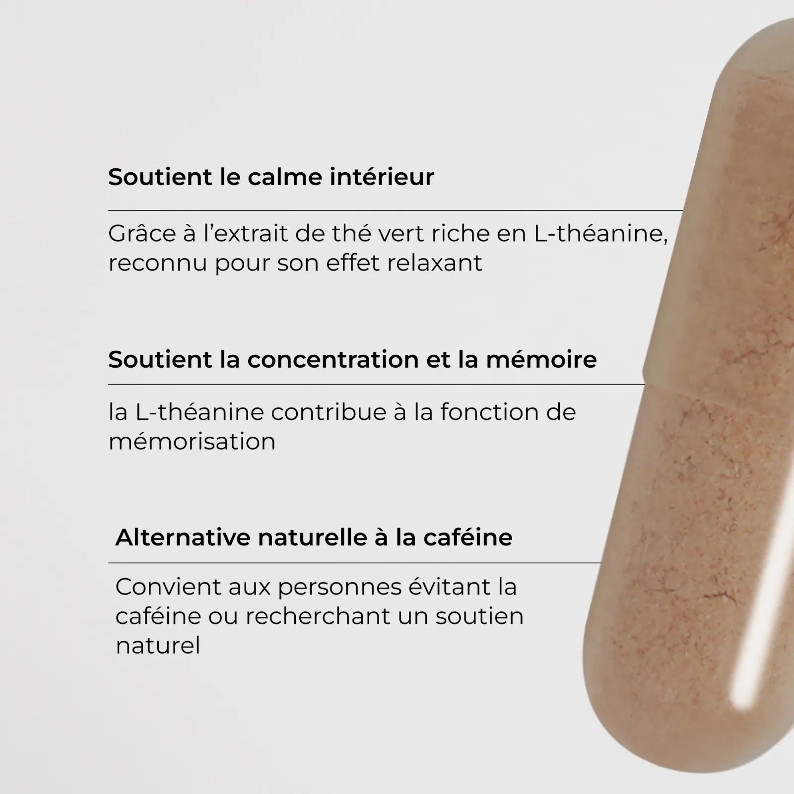 Les bienfaits de la L-Théanine