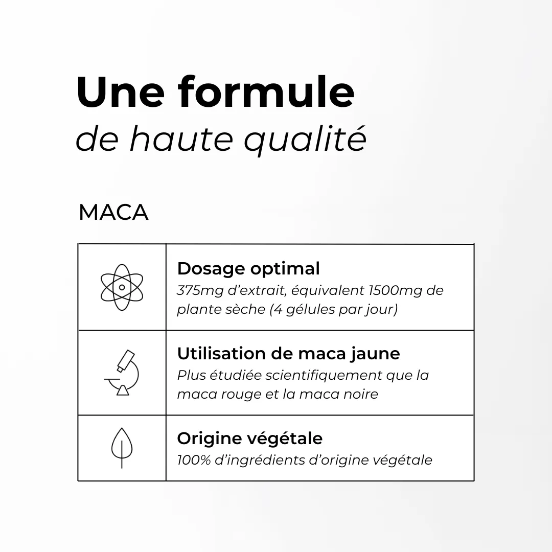 Maca Cuure, presentation