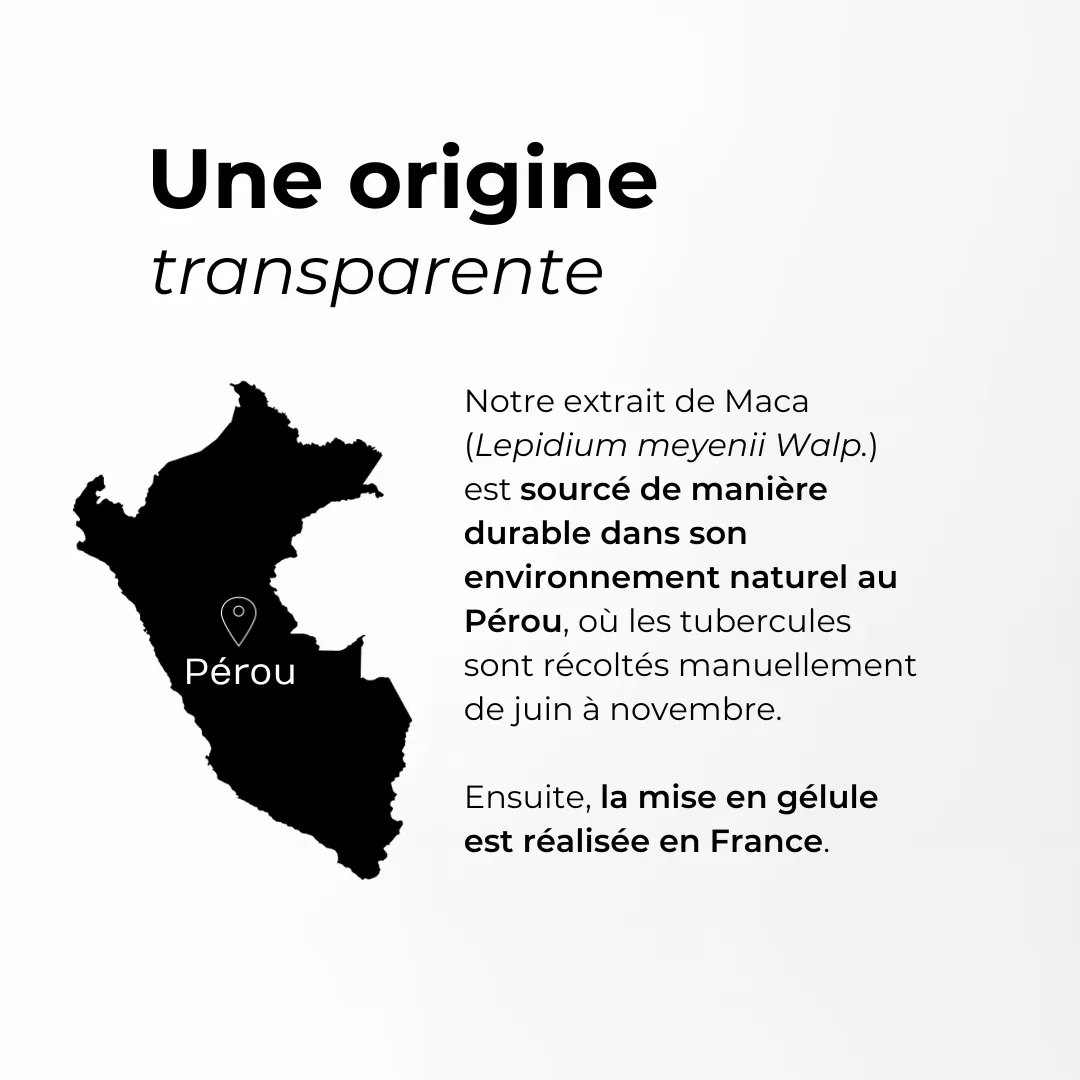 Maca Cuure, qualite