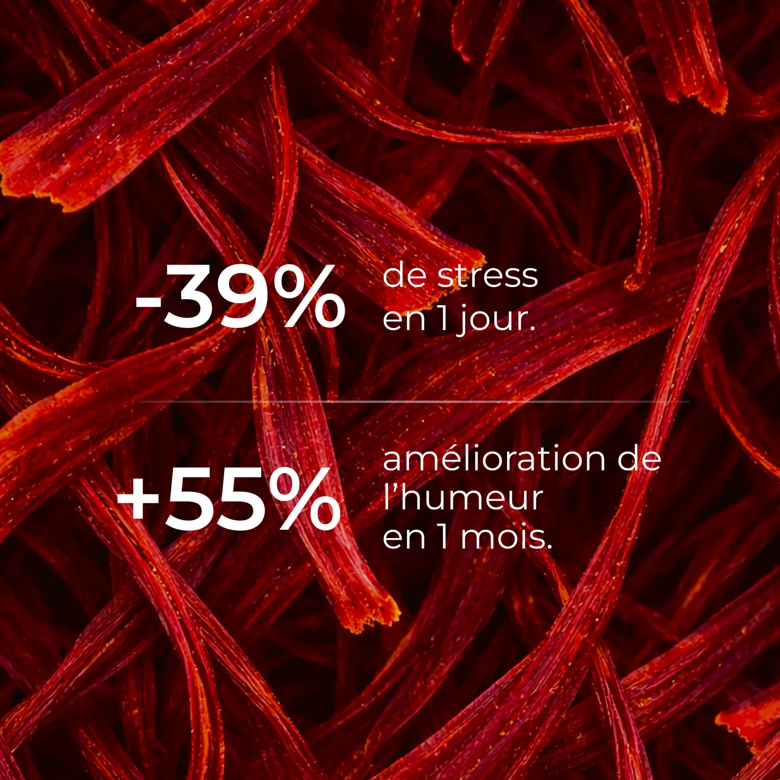 Titrage du Safran Cuure en crocine et safranal