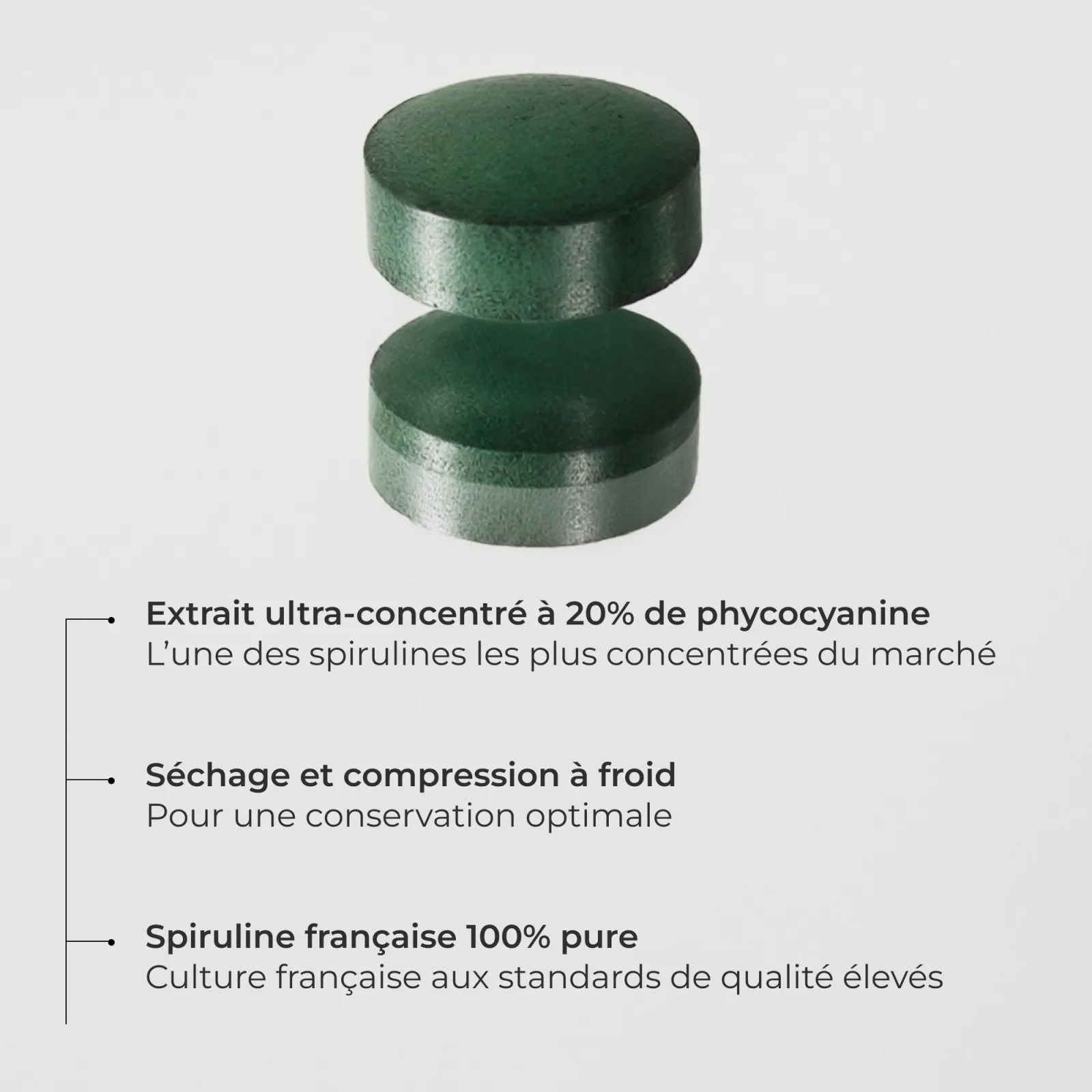 Spiruline 2