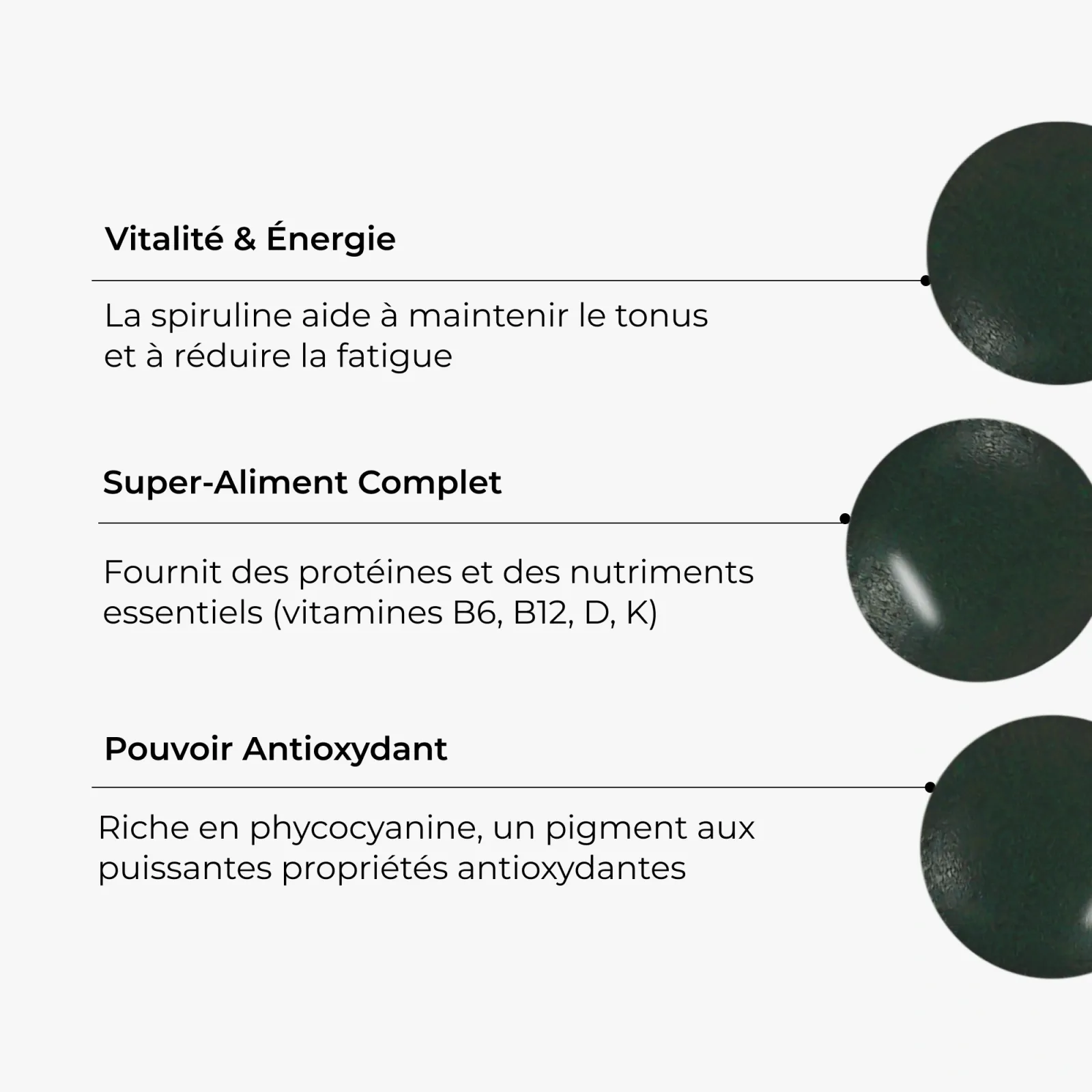 Spiruline 4
