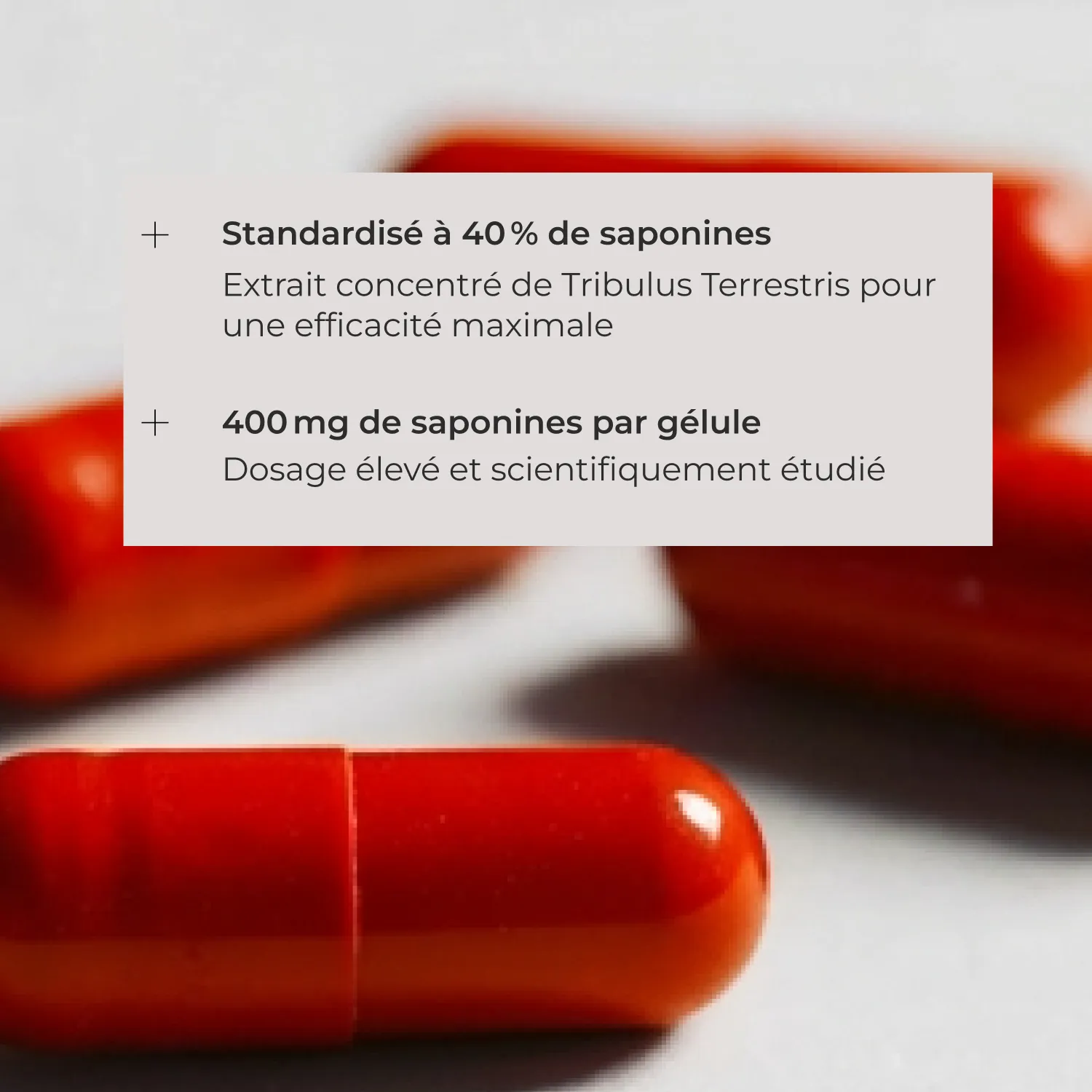 Tribulus qualité