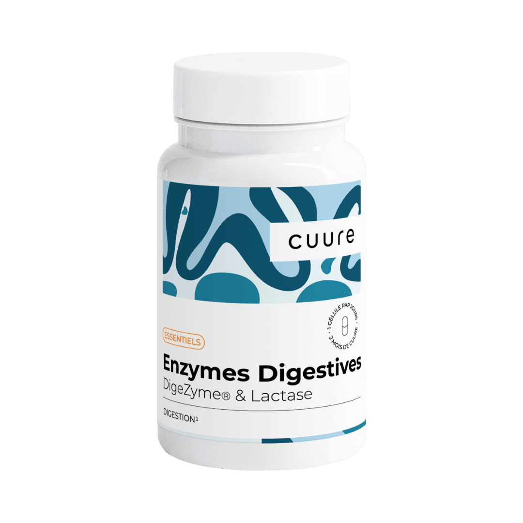 Enzymes Digestives