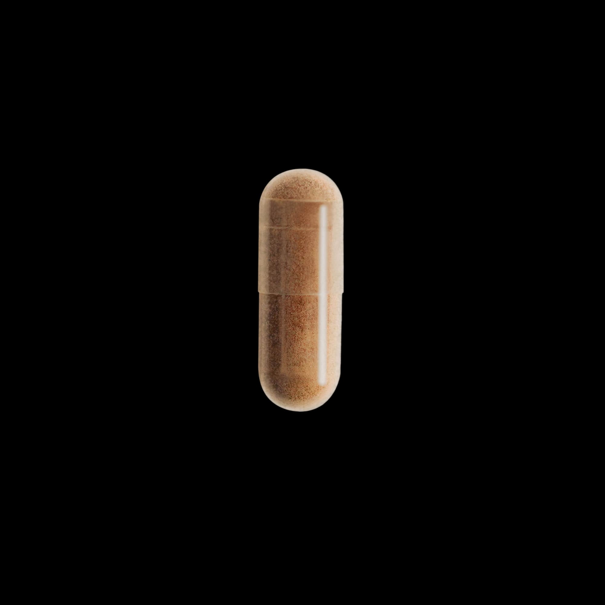 Ginkgo Biloba