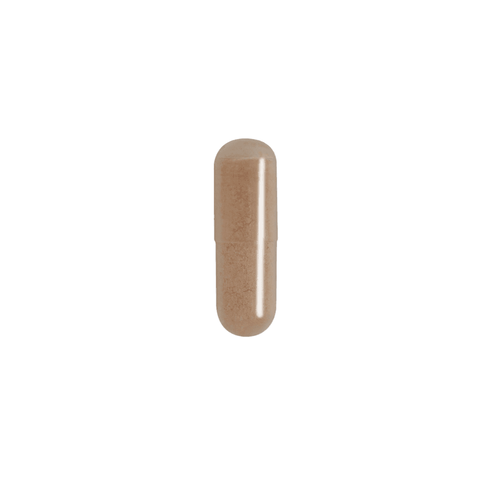 L-Théanine