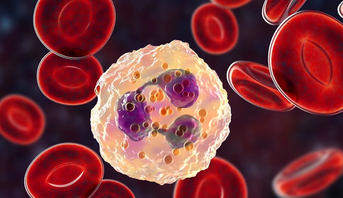 Comment fonctionne notre système immunitaire ?