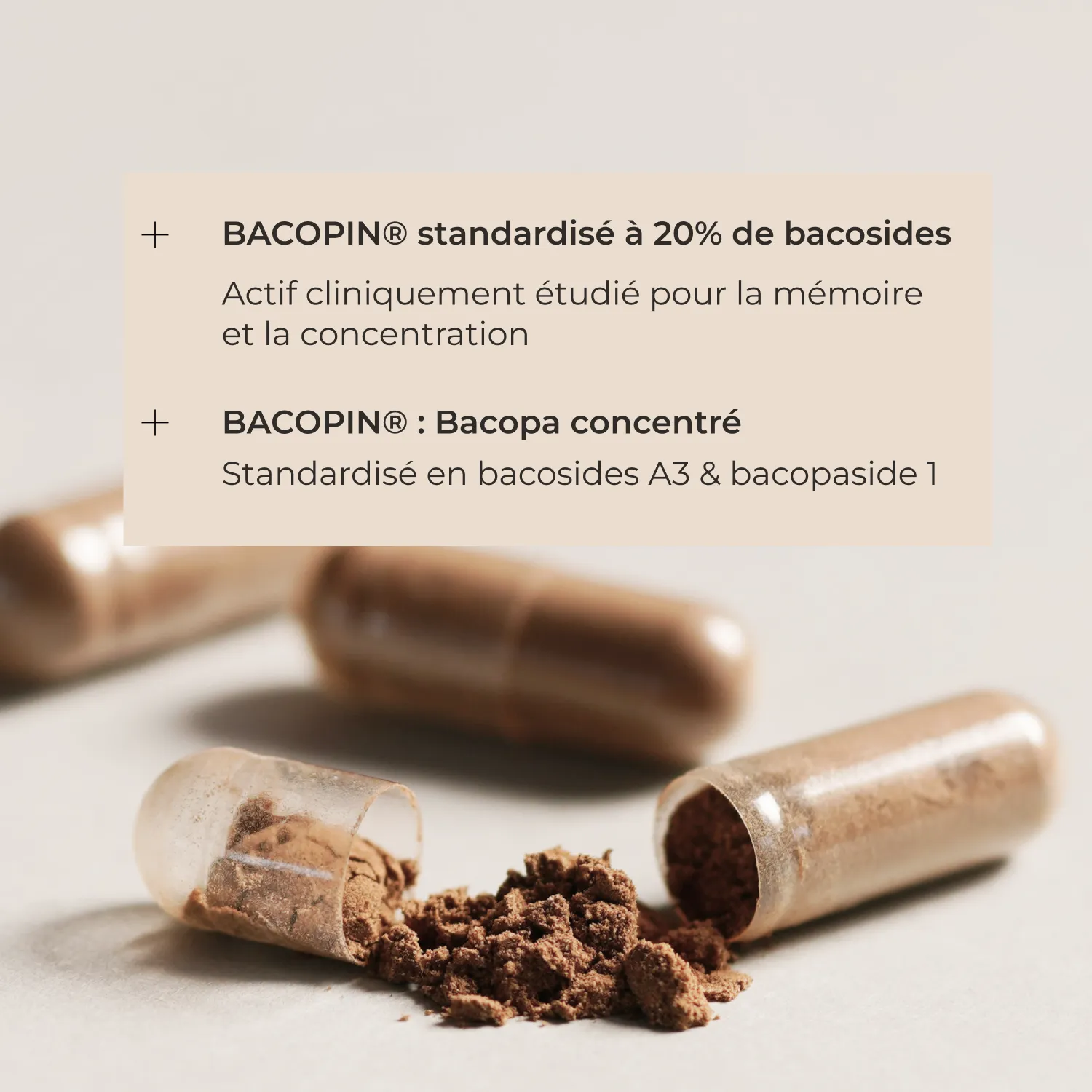 Qualite du Bacopa Cuure