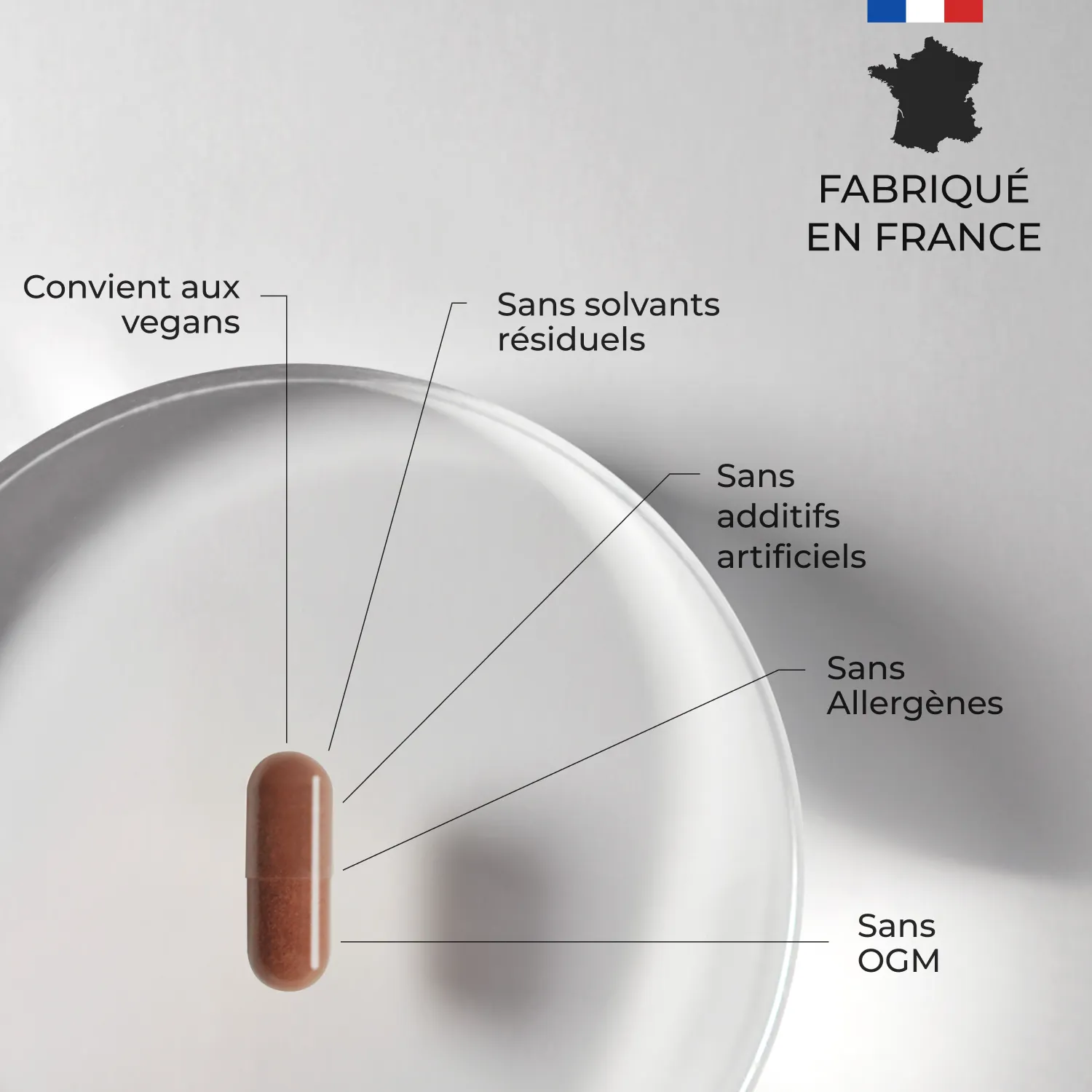 Complexe Drainant #7