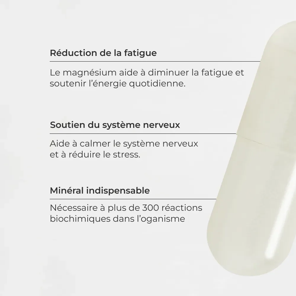 Pack Les Incontournables #5
